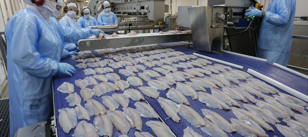 Sistema Atak para gestão e exportação de pescados oceânicos com automação e rastreabilidade